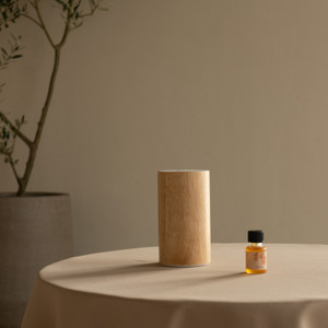 10ml2