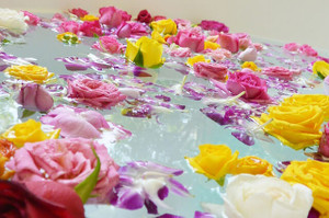 7rose