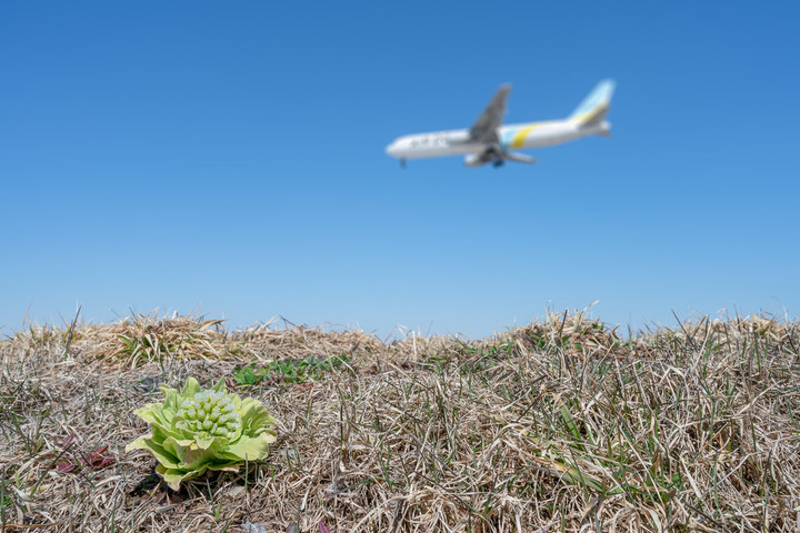 For_sns_akj_4_a9_09893