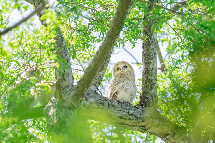 For_sns_cts_5_7r402486